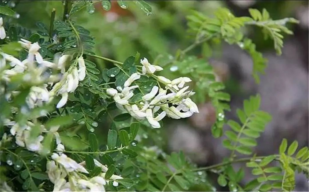 云南省文化和旅游厅