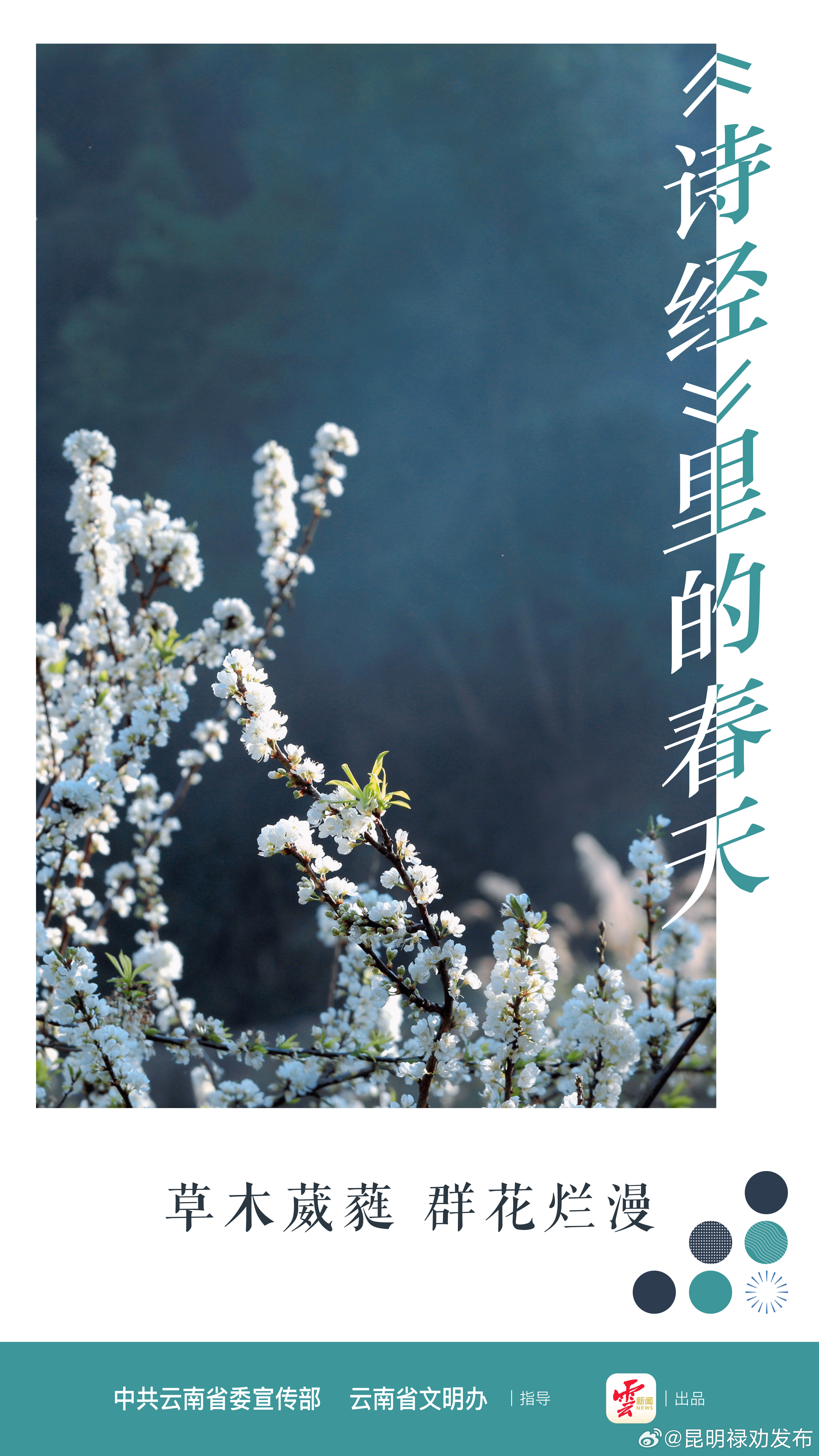 《诗经》里的春天丨草木葳蕤 群花烂漫