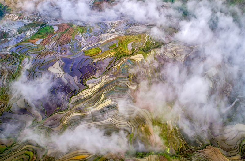 云南省文化和旅游厅
