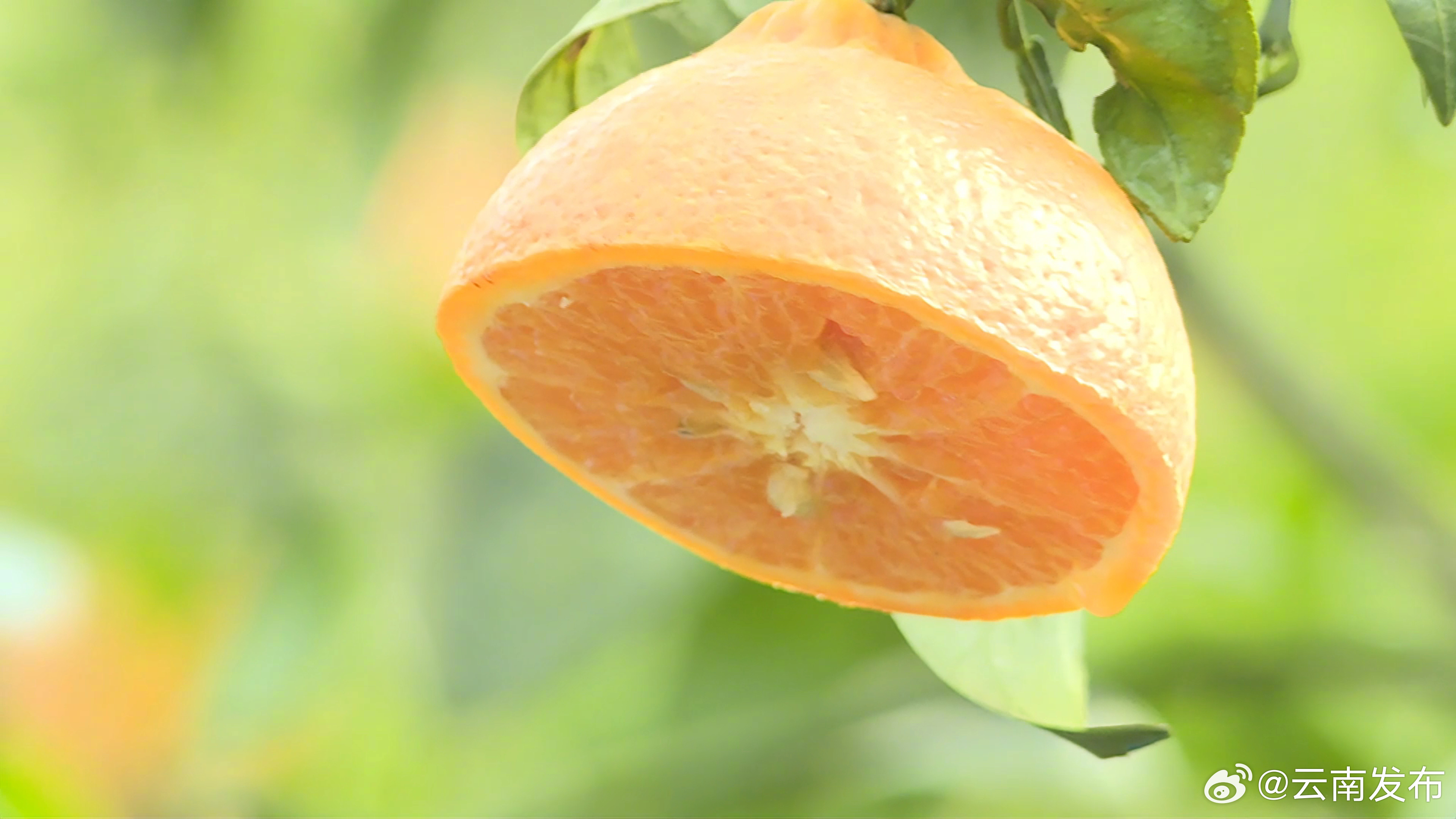 云南发布