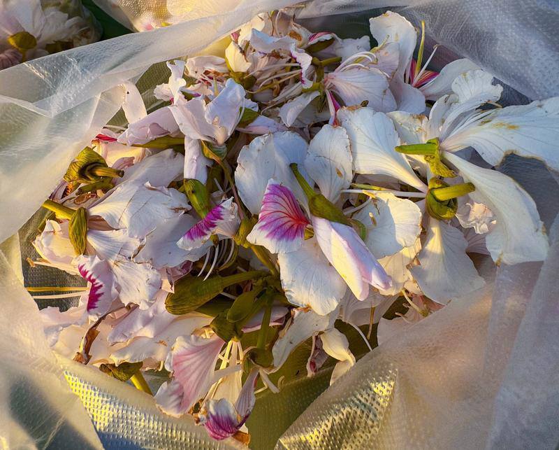 云南省文化和旅游厅