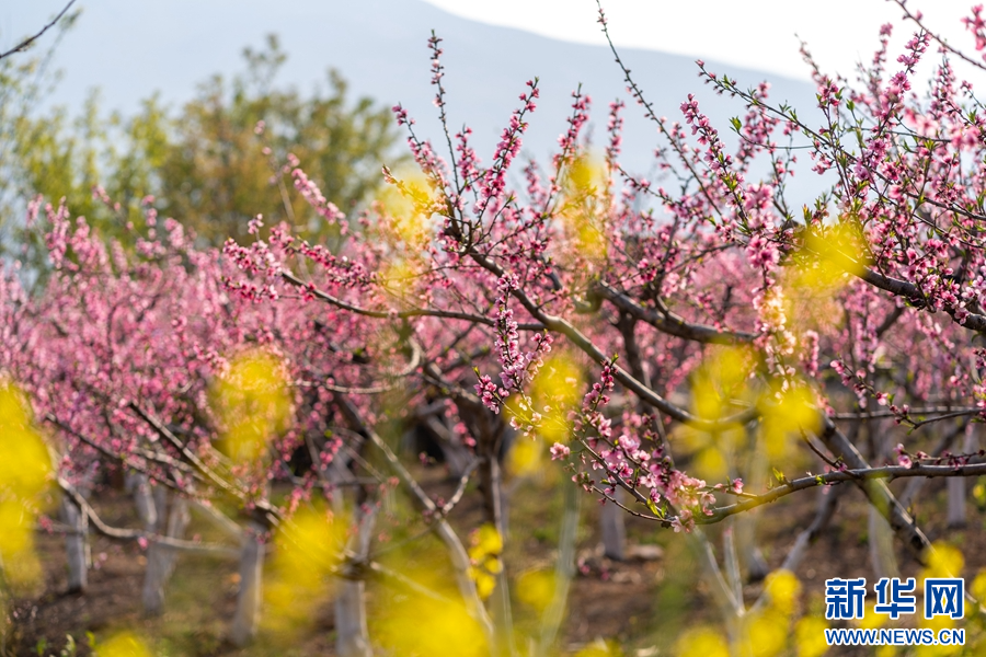 云南省文化和旅游厅