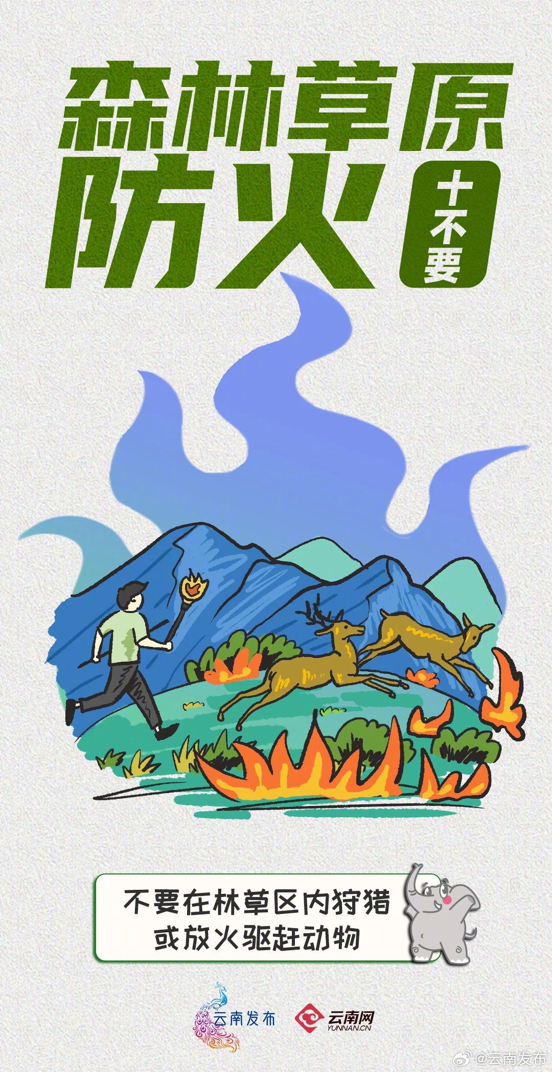 云南发布
