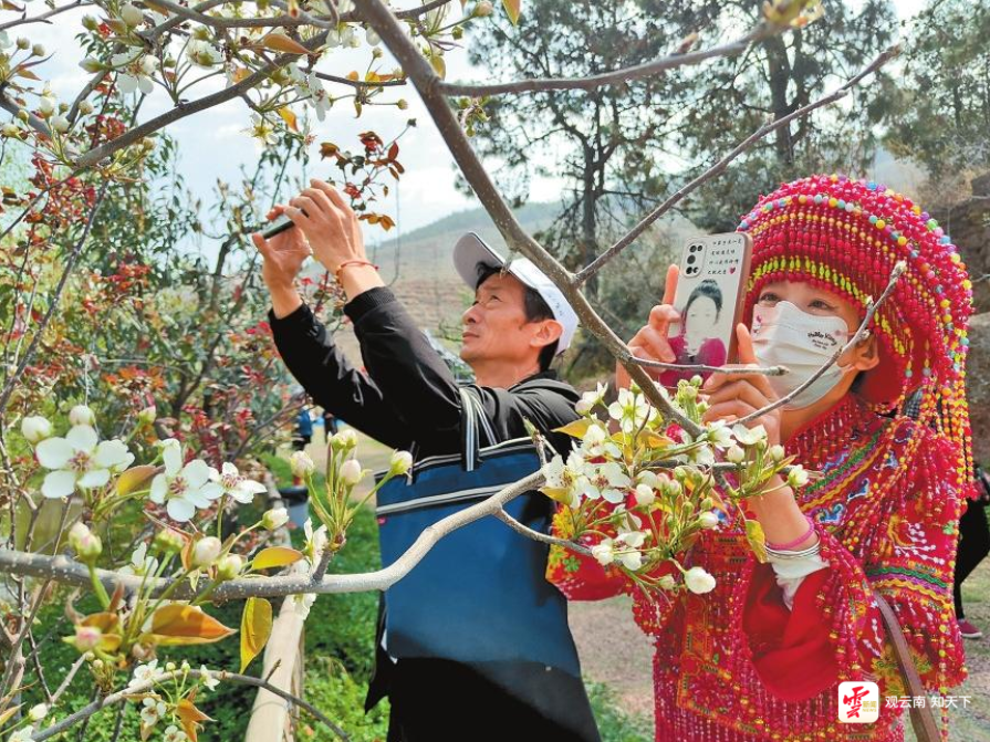 云南省文化和旅游厅