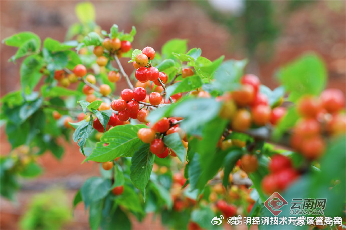 昆明经济技术开发区管委会