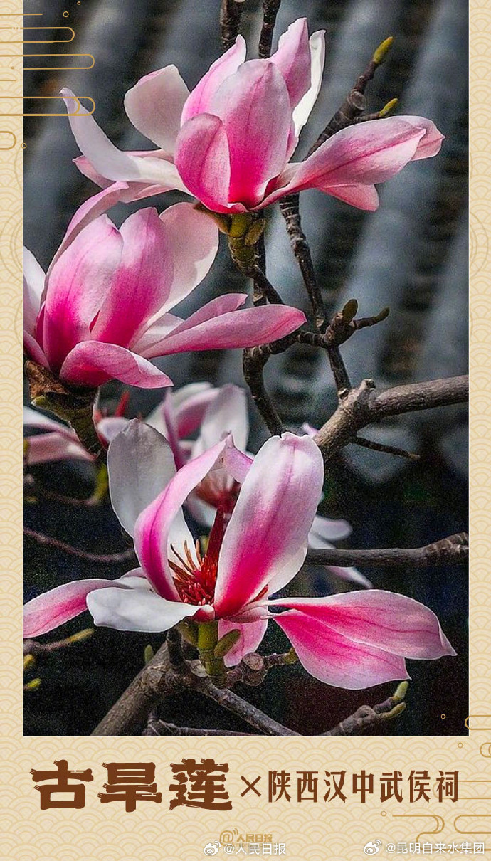 昆明自来水公司