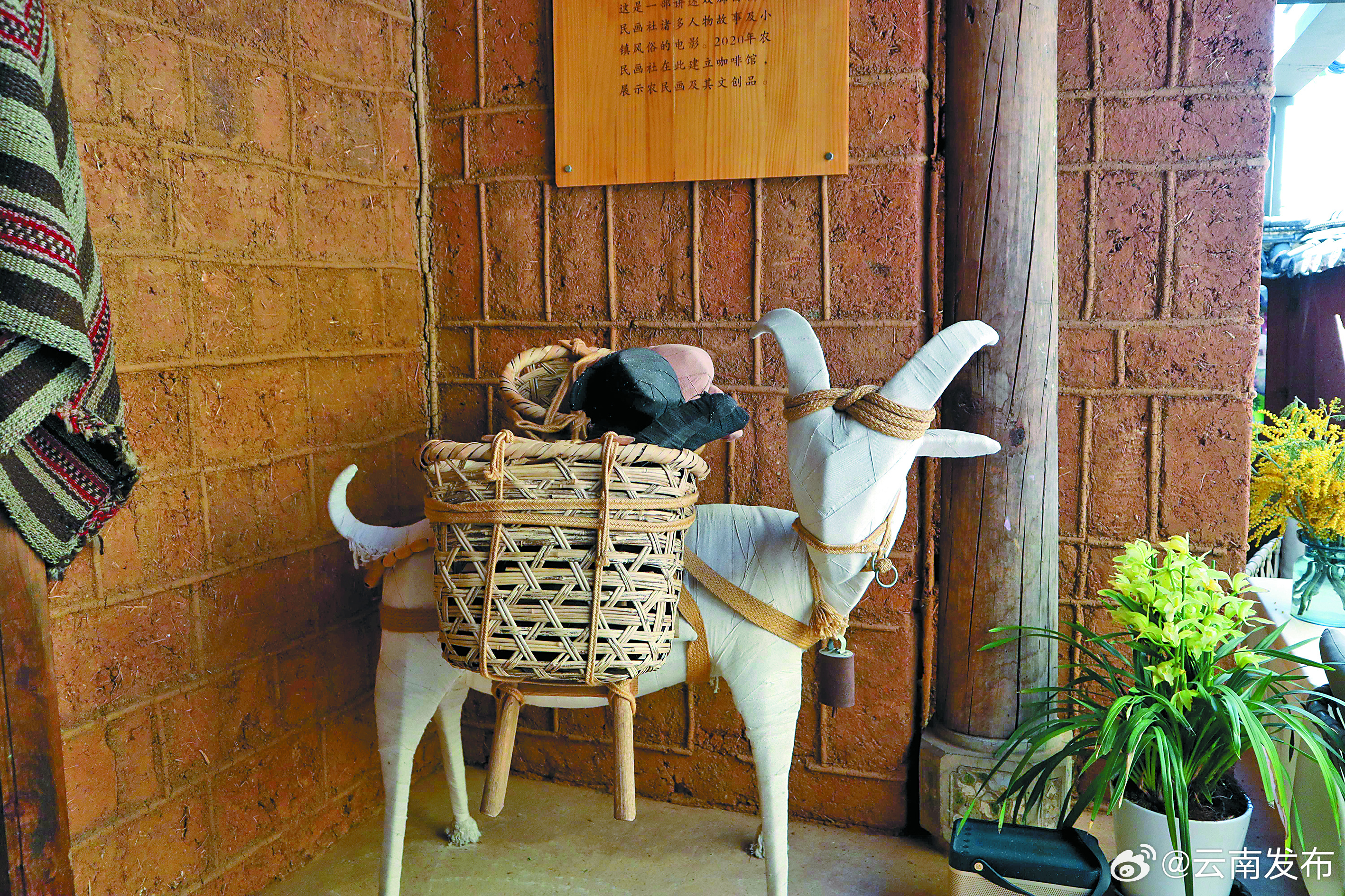 目前来自国内外的“新大理人”已有近10万名