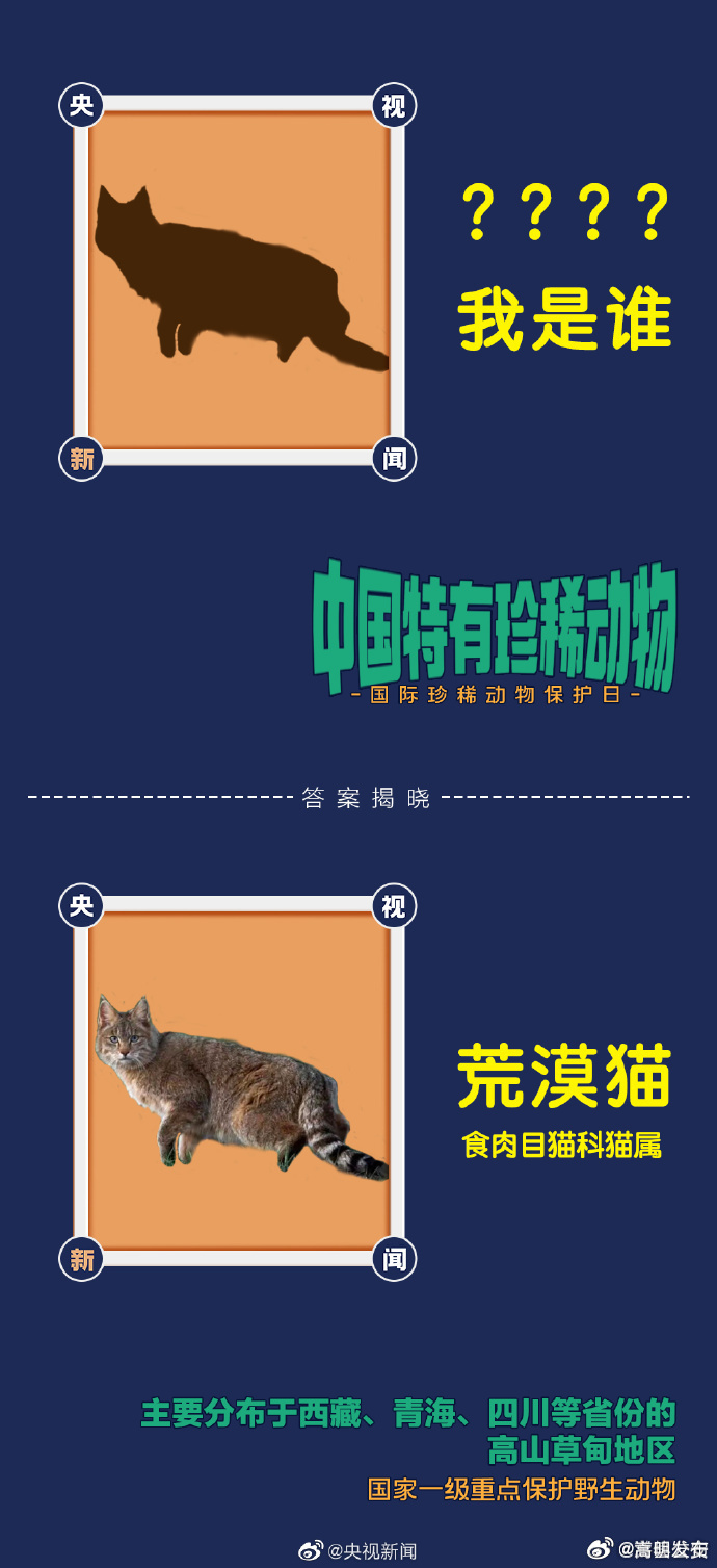 嵩明发布