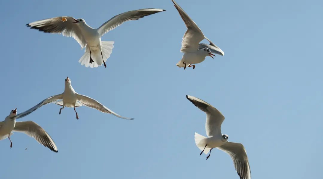 晋宁诗意的栖居地