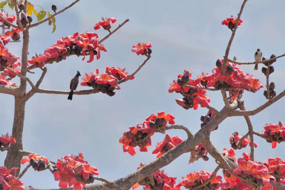 云南省文化和旅游厅