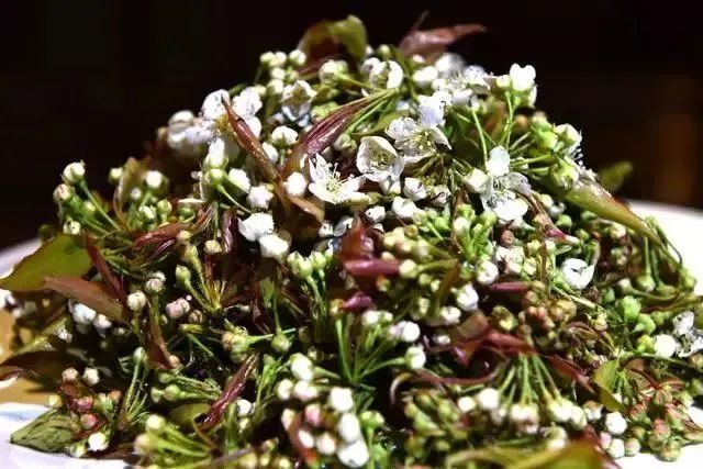 云南省文化和旅游厅