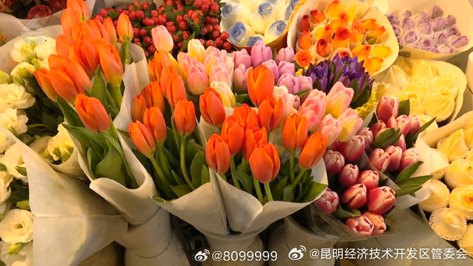 昆明经济技术开发区管委会