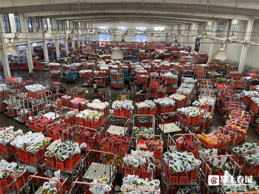昆明信息港微博