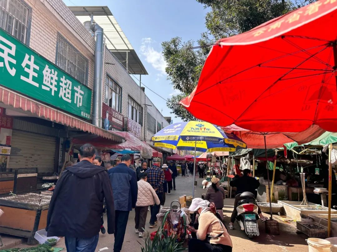 盘龙统战