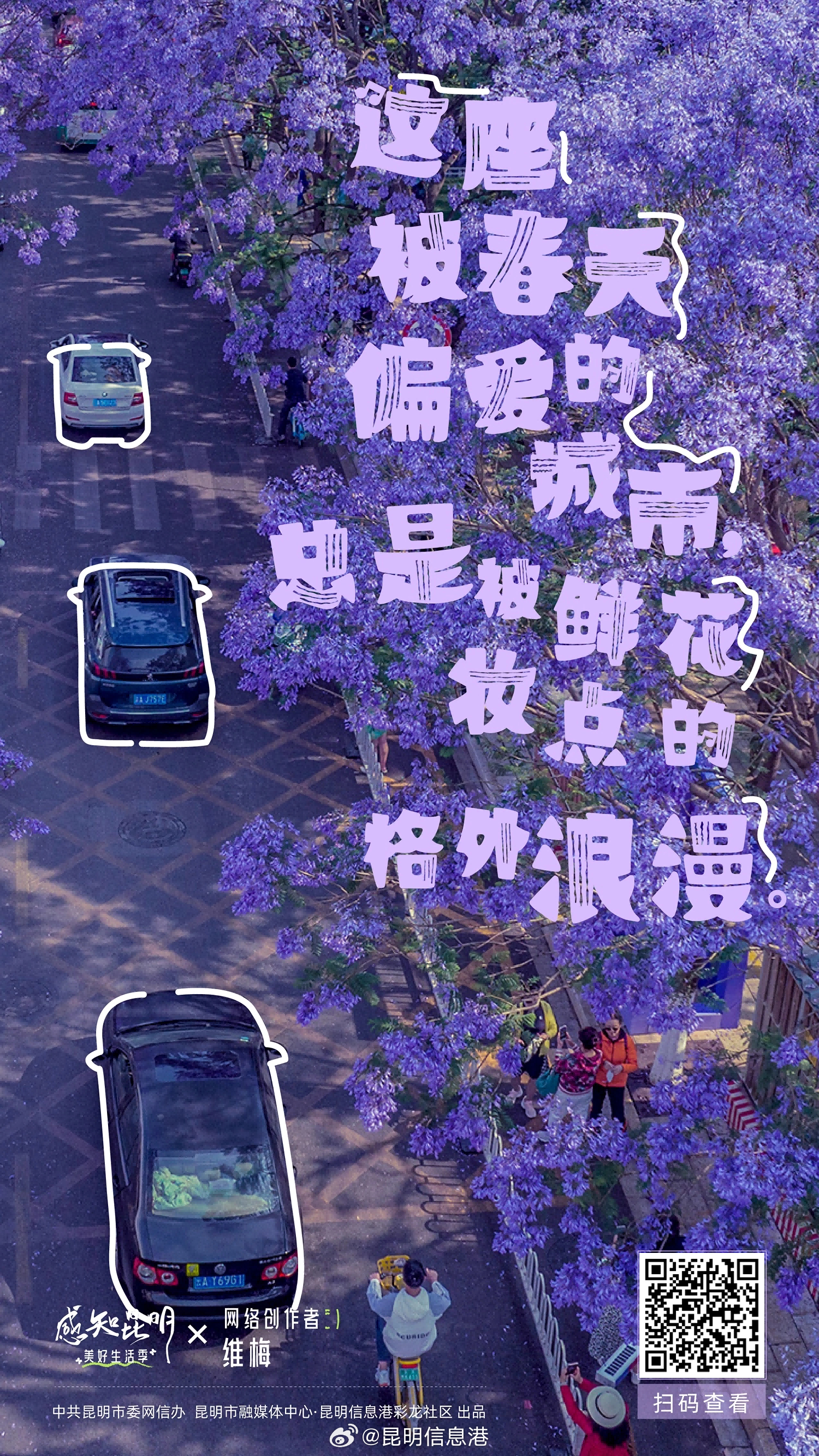 昆明信息港微博