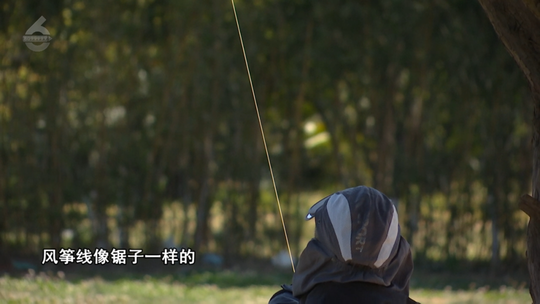 掌上春城微信
