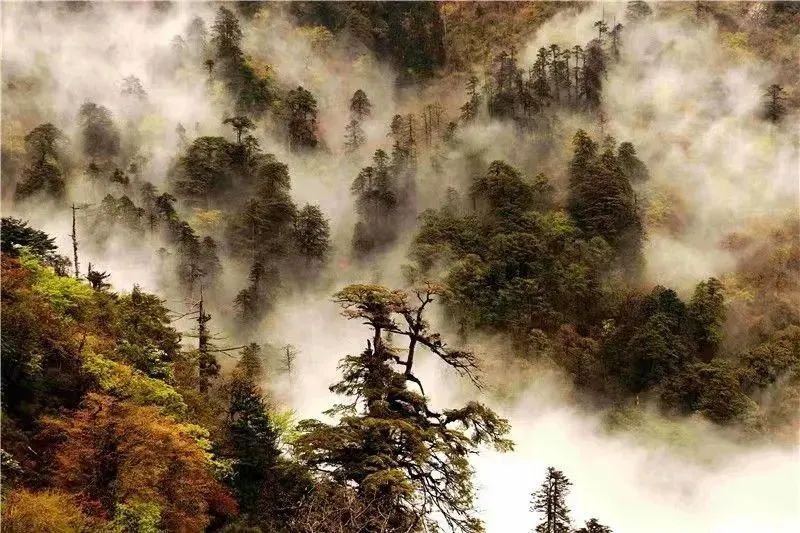 云南省文化和旅游厅