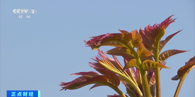 昆明信息港/cnkmxxg