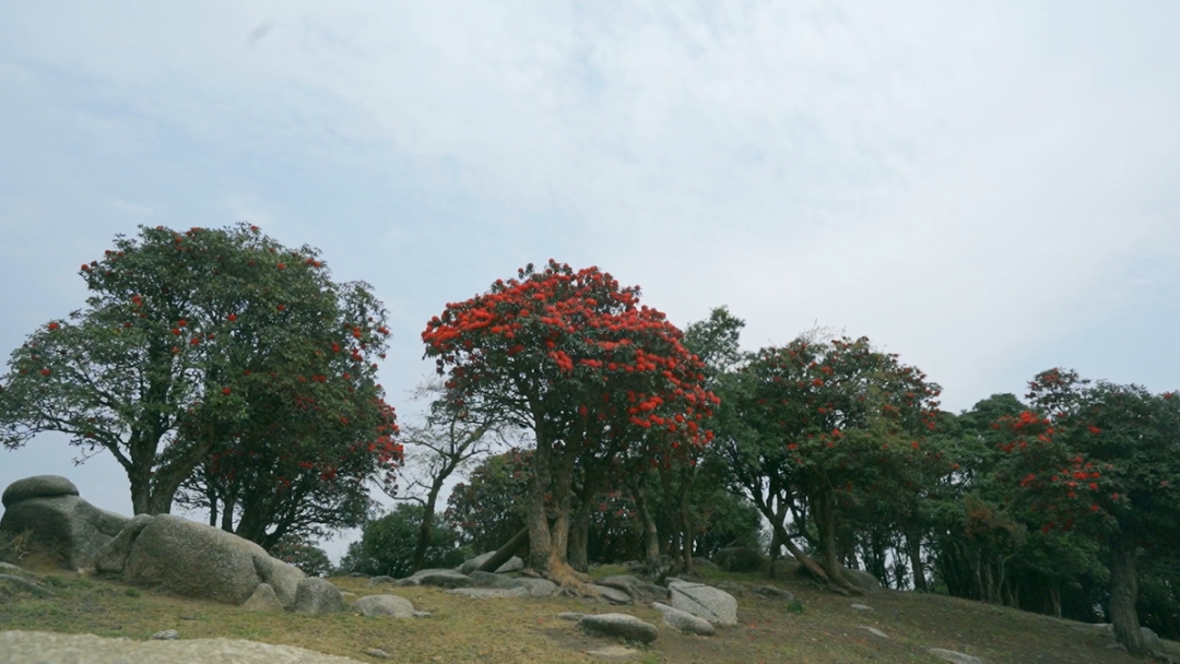 云南省文化和旅游厅