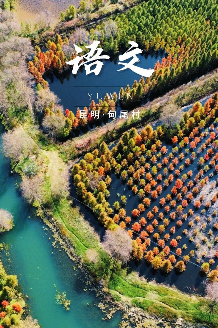 云南省文化和旅游厅