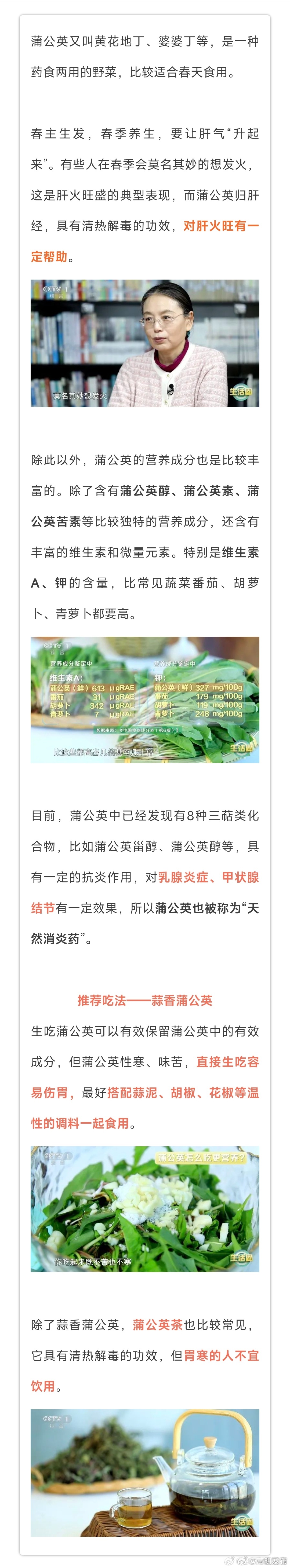 野菜中的天然消炎药竟是蒲公英 