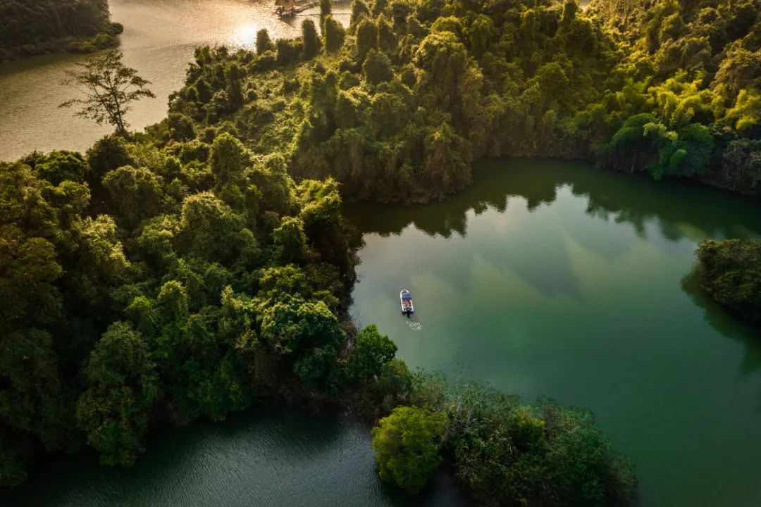 云南省文化和旅游厅