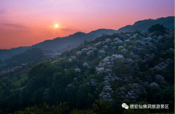 云南省文化和旅游厅