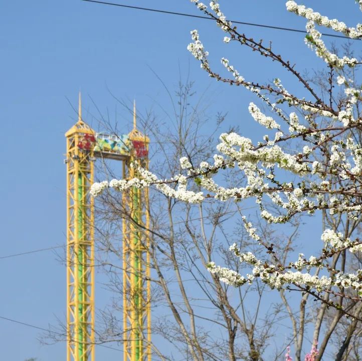晋宁诗意的栖居地