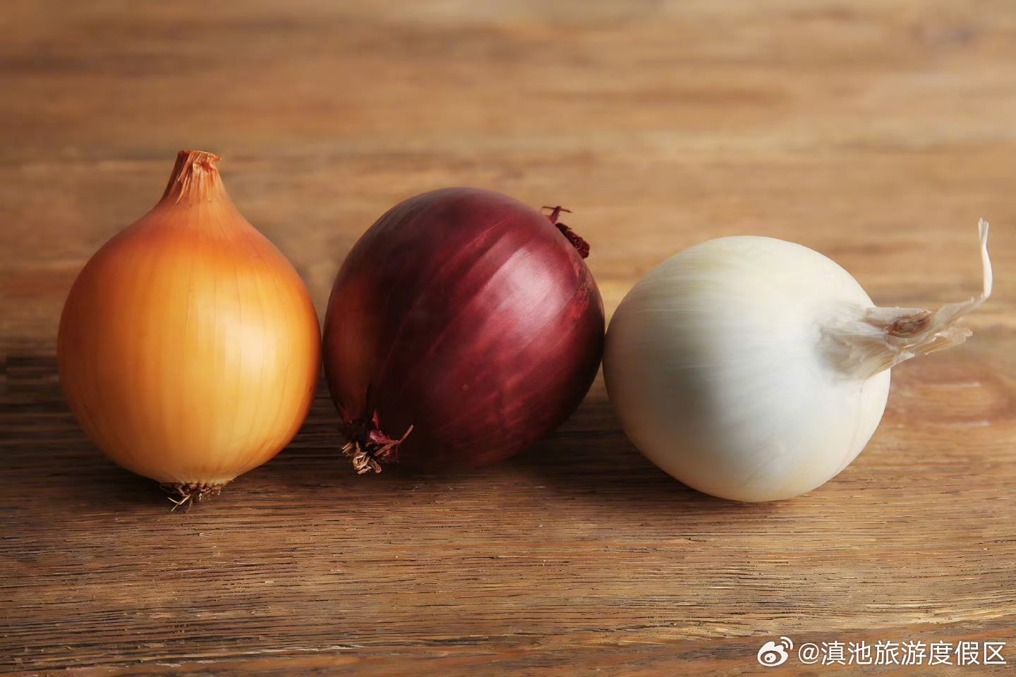 哪种颜色的洋葱营养高