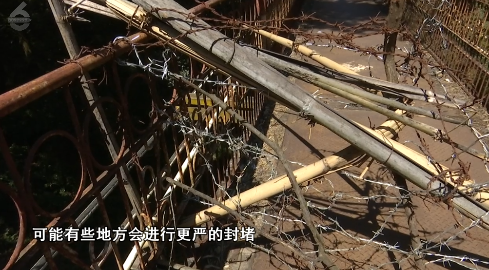 春城晚报