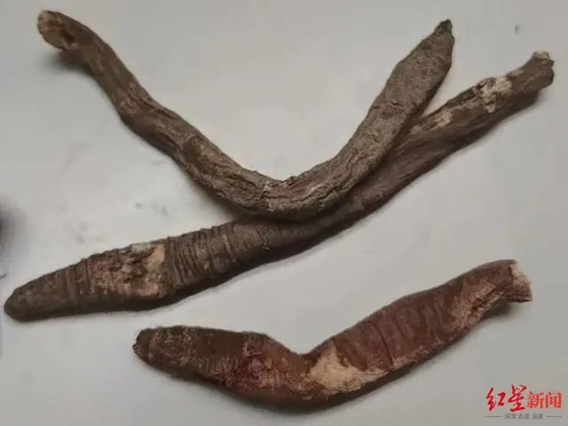 掌上春城微信