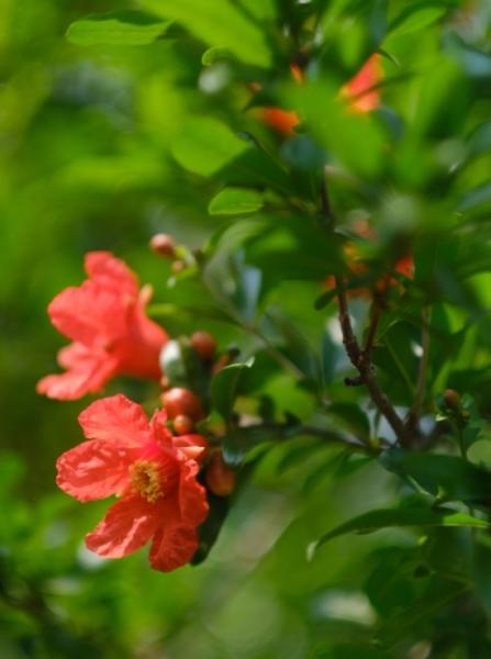 云南省文化和旅游厅