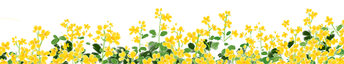 昆明文旅