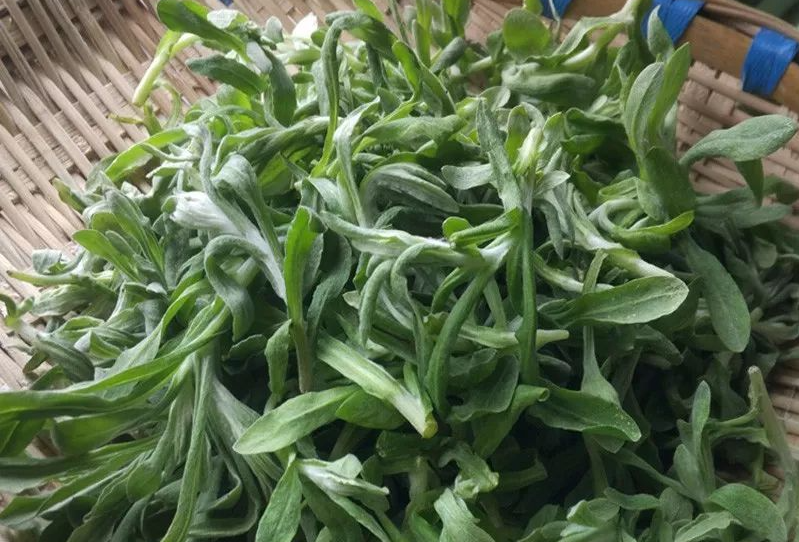 云南省文化和旅游厅