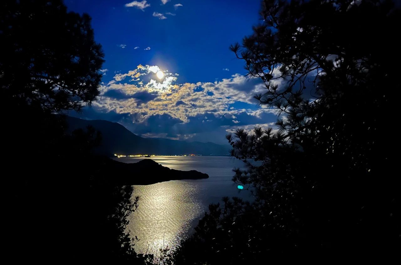 云南省文化和旅游厅