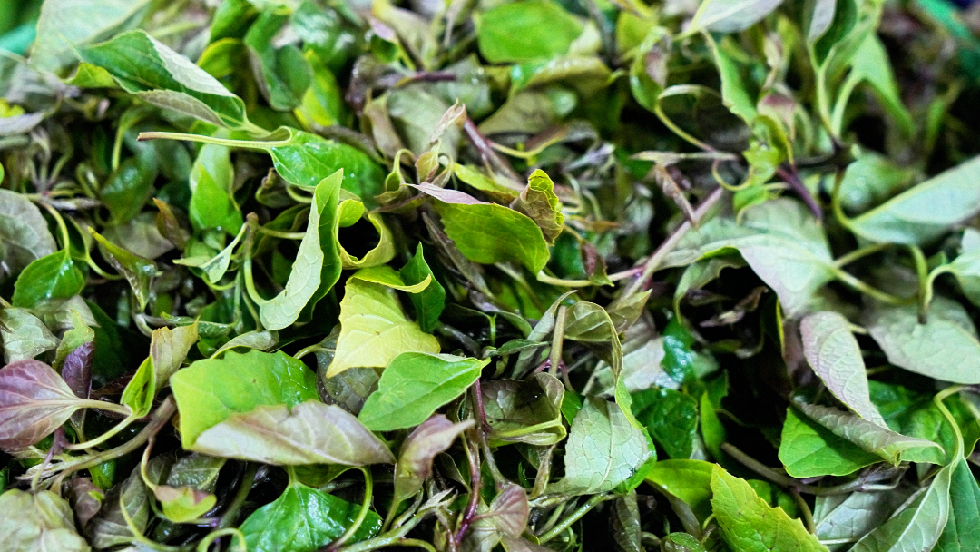 云南省文化和旅游厅