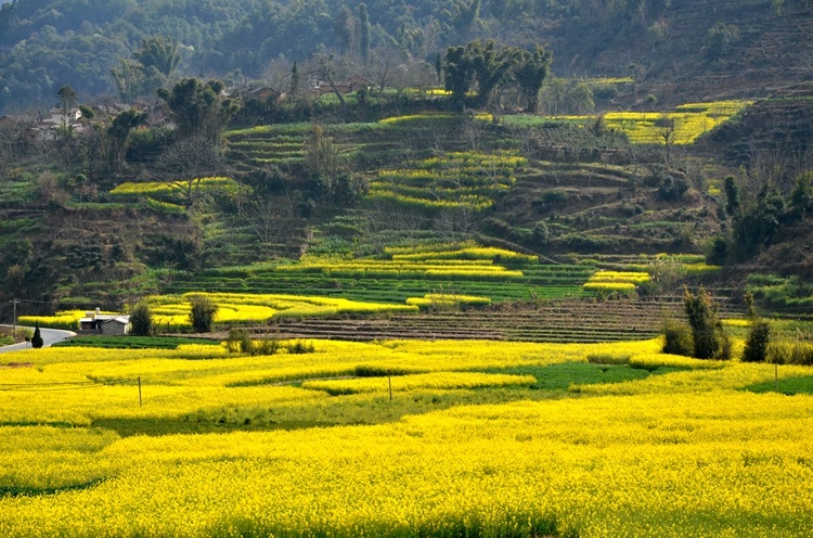 云南省文化和旅游厅