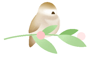 掌上春城微信
