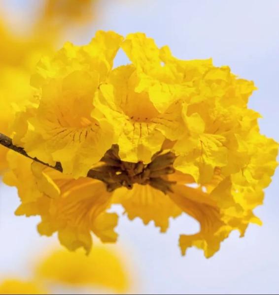 云南省文化和旅游厅