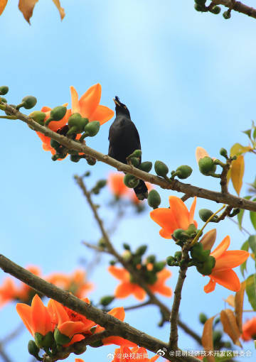 昆明经济技术开发区管委会