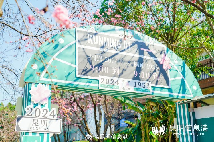 昆明信息港微博