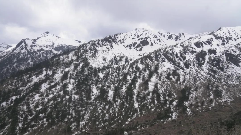 云南省文化和旅游厅