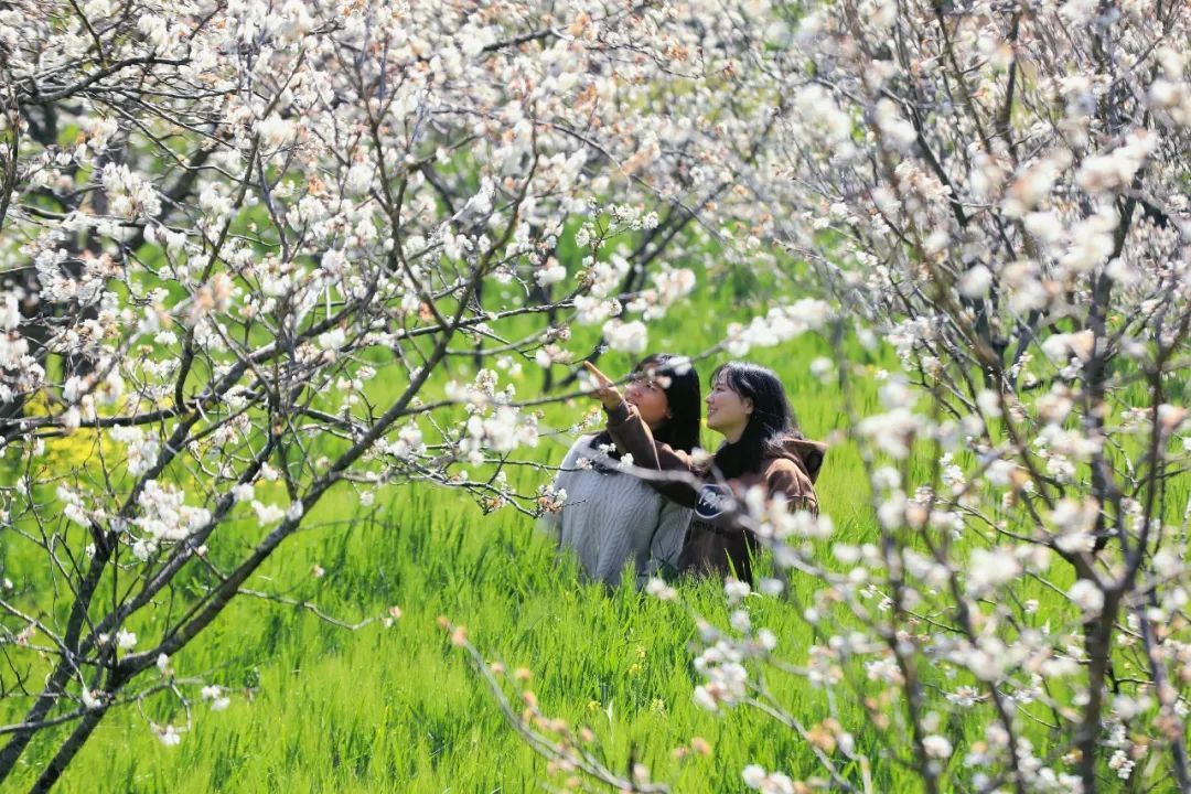 云南省文化和旅游厅