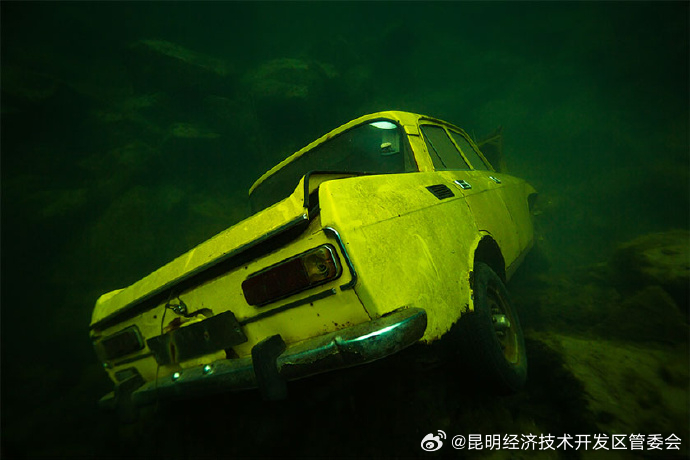 车辆意外落水 车内人员如何自救逃生？