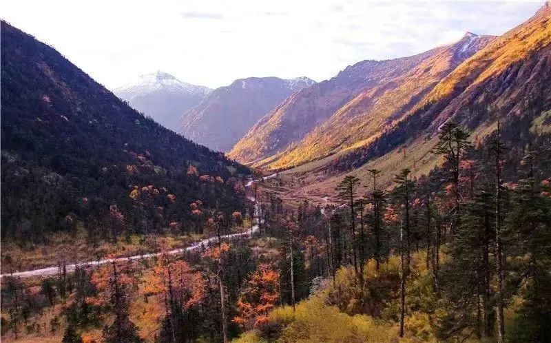 云南省文化和旅游厅