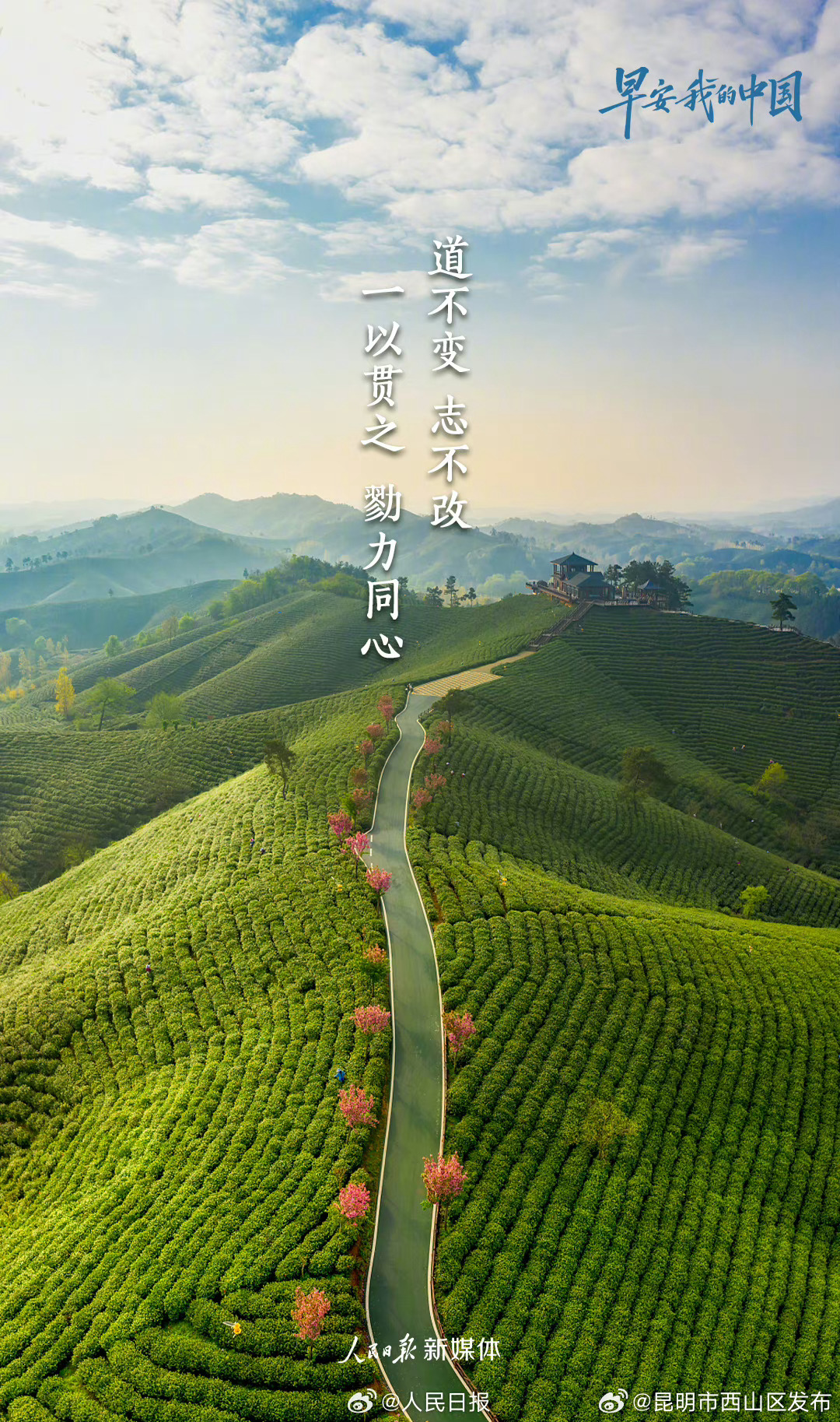 昆明市西山区发布