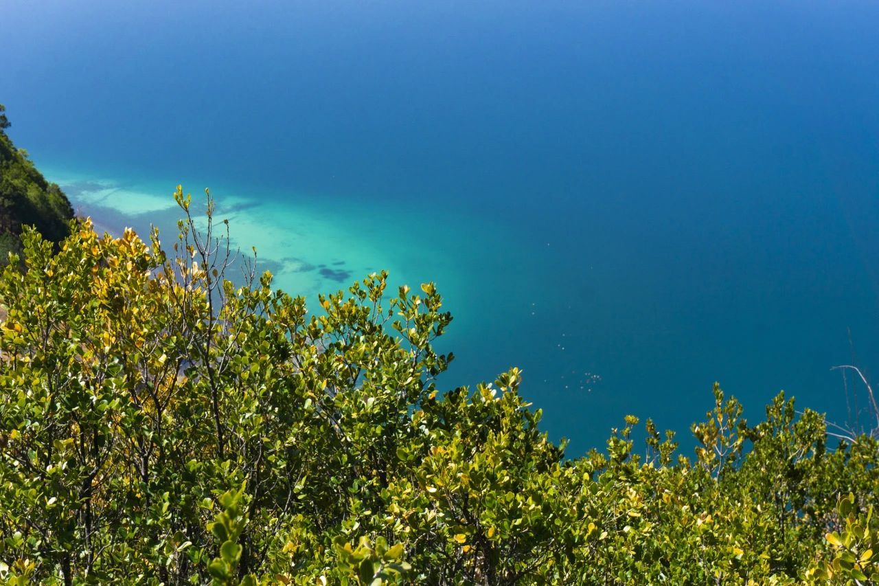 云南省文化和旅游厅