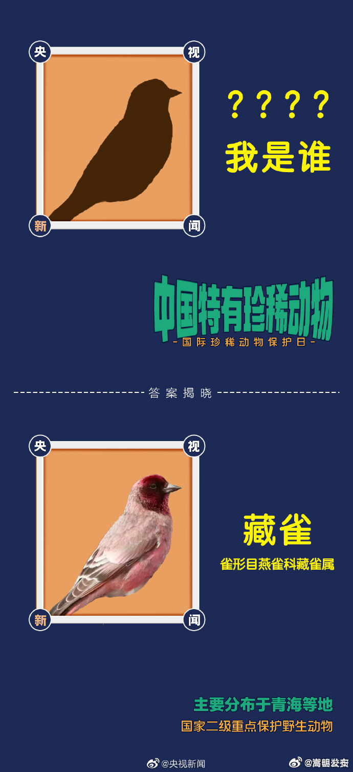 嵩明发布