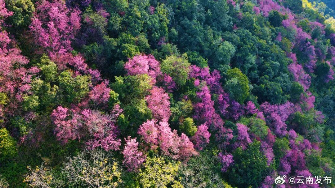 云南环境空气质量预报