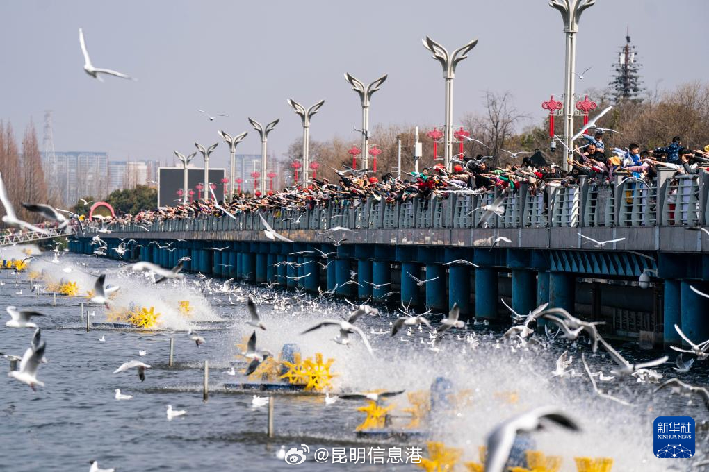 昆明信息港微博